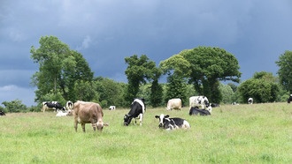 Учёные разработали стратегию снижения влияния сельского хозяйства на биоразнообразие