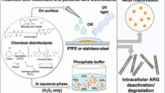 Учёные выяснили, какие дезинфицирующие средства эффективны против генов устойчивости к антибиотикам
