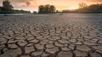 Учёные раскрыли механизм удержания воды в почве даже в засушливых условиях