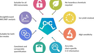Учёные разработали новый метод определения омега-позиций липидов в биологических образцах
