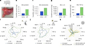 Два новых метода делают РНК-терапию безопаснее при воспалительных заболеваниях