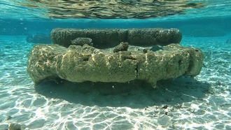 Кораллы раскрыли ранее неизвестное ускорение подъема уровня моря