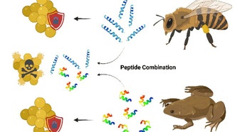 Белки пчёл и лягушек могут стать двойной защитой от супербактерий в сельском хозяйстве