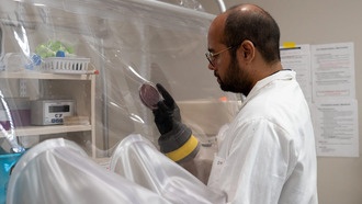 Пищевые загустители оказались усваиваемыми благодаря кишечным бактериям