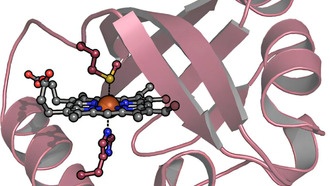 Учёные разработали первый антидот против отравления угарным газом