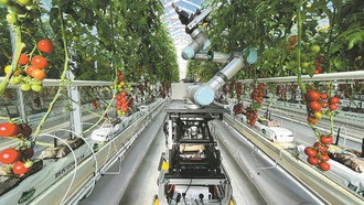 Китайские ученые создали первого в мире робота для полного цикла селекции растений