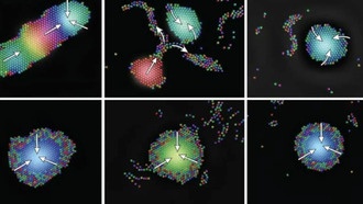 Микроскопические роботы научились «общаться» звуком и формировать самоорганизующиеся рои