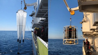 Крошечные рачки раскрывают микробную карту океана