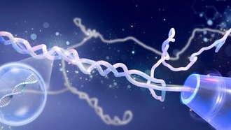 Учёные раскрыли роль плектонем в поведении ДНК при прохождении через нанопоры