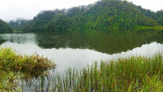 «Затерянный город Амазонии»: новое исследование раскрывает изменения ландшафта за 2700 лет