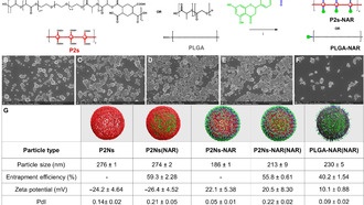 Наночастицы на основе цитрусовых помогут бороться с воспалением