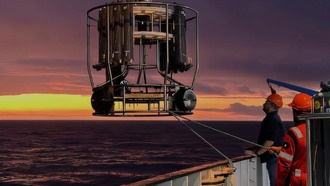 Учёные выяснили, как дефицит железа нарушает фотосинтез у океанических водорослей