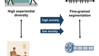 Люди с разнообразным опытом лучше воспринимают события, показало исследование