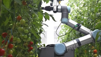 Цветы, перепроектированные для роботов: генное редактирование и ИИ ускоряют селекцию растений