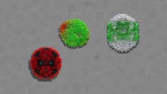 Учёные раскрыли механизм упаковки генома вирусов в капсиды