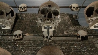 Структура Huei Tzompantli раскрывает новые данные о жертвах ритуалов после десяти лет исследований