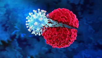 Бактерии-«троянские кони» доставляют убивающие рак вирусы в опухоли