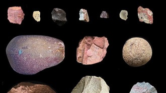 Древние предки человека транспортировали камни 2,6 млн лет назад, переписывая историю человечества