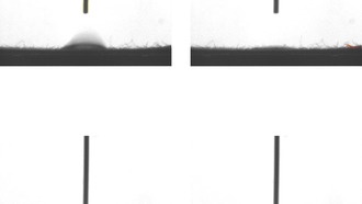 Хлопковое масло может заменить токсичные вещества в обработке тканей