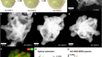 Учёные создали термометр на основе света и звука для уничтожения рака золотыми наночастицами