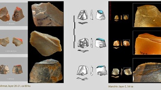 В Узбекистане обнаружены возможные наконечники стрел возрастом 80 000 лет