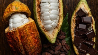 Учёные раскрыли секрет идеального вкуса шоколада