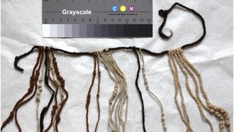 Волосы инков: древняя система учета использовалась не только элитой