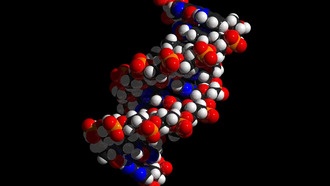 Учёные заглянули внутрь «чёрного ящика» языковых моделей для предсказания свойств белков