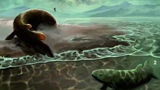 Найдены древнейшие следы рыб, которые начали выходить на сушу