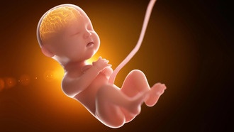 Микробы могут влиять на развитие мозга ещё до рождения