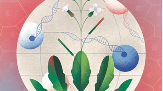 Создан первый генетический атлас полного жизненного цикла растения