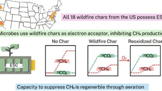 Уголь от лесных пожаров может помочь в борьбе с выбросами метана