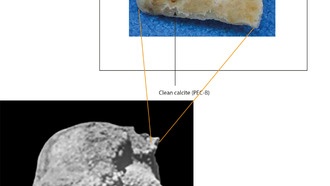 Загадочному черепу из греческой пещеры Петралона как минимум 286 000 лет