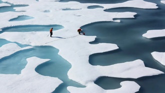 Таяние арктических льдов временно замедлилось, но это лишь «передышка»