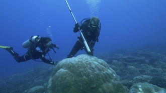 Учёные предупреждают о катастрофических последствиях резких изменений в Антарктиде