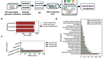 Метаболическое моделирование раскрывает разнообразие дрожжей для промышленной биотехнологии