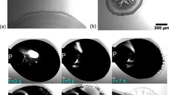 Ученые раскрыли секрет контроля липких пленок, что улучшит технологии от печати до фармацевтики