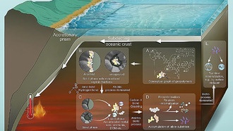 Ученые выяснили, как тепло «пробуждает» углерод для питания подземной биосферы