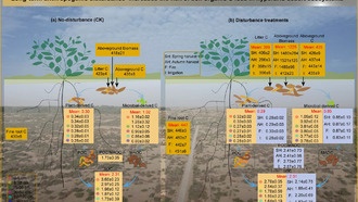 Человеческая деятельность вызывает значительную потерю углерода в почвах сверхаридных пустынь