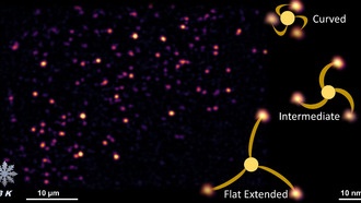 Оптическая микроскопия с ангстремным разрешением раскрыла конформационные состояния мембранных белков