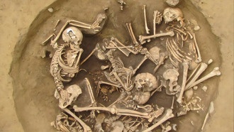 Доказательства из неолитических захоронений раскрывают жестокие военные практики