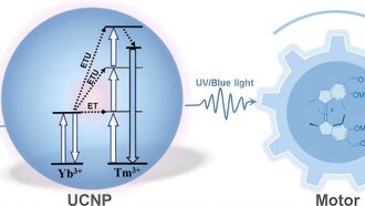 Наночастицы для преобразования света позволили управлять молекулярными моторами инфракрасным излучением