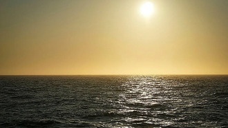 Морская тепловая волна в Норвегии вызвала взрывной рост численности лососевых вшей