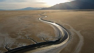 Новое исследование опровергает теорию о влиянии растений на формирование извилистых рек