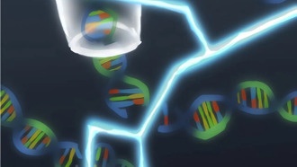 Новая технология нанопор для измерения повреждений ДНК может улучшить терапию рака и реагирование на радиационные ЧС