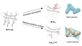 Нановолокна из пептидов помогут бороться с устойчивыми бактериями