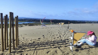 Учёные изучают движение песчаных дюн для борьбы с опустыниванием