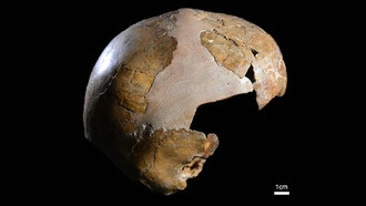 140000-летний скелет ребёнка показал самое раннее смешение людей и неандертальцев