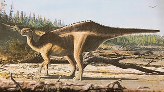 Обнаружен новый вид динозавров с «парусом» на спине для привлечения партнеров