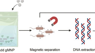 Новые наночастицы сокращают время обнаружения вирусов в воде и еде с дней до часов